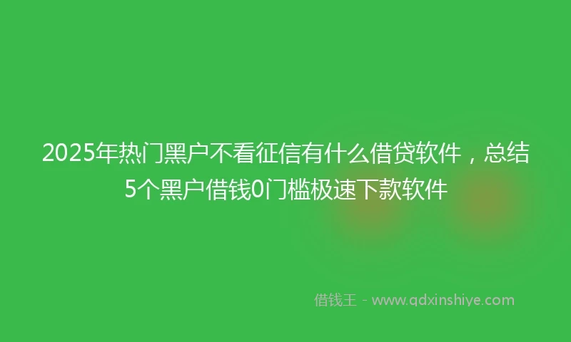 2025年热门黑户不看征信有什么借贷软件，总结5个黑户借钱0门槛极速下款软件