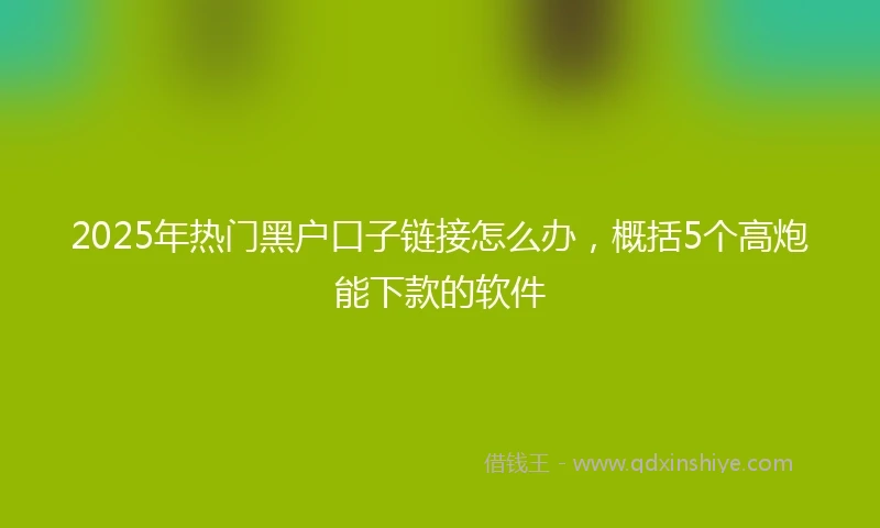 2025年热门黑户口子链接怎么办，概括5个高炮能下款的软件