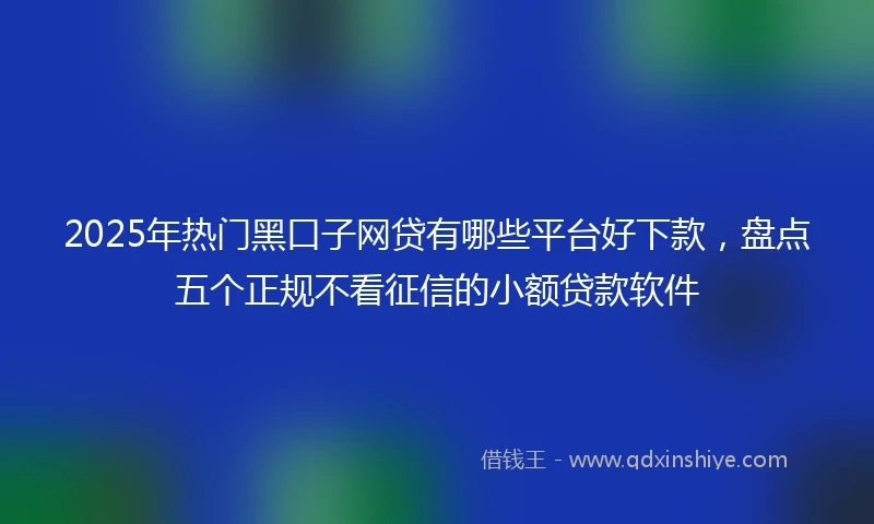 2025年热门黑口子网贷有哪些平台好下款，盘点五个正规不看征信的小额贷款软件