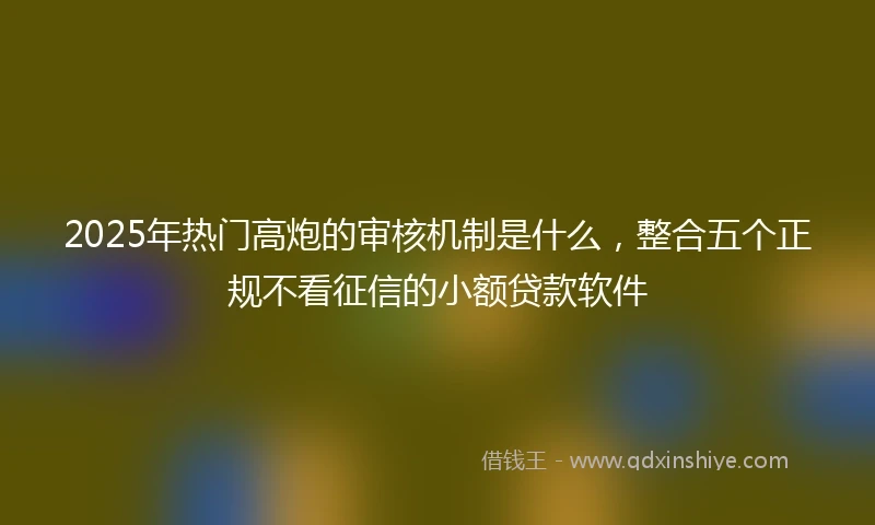 2025年热门高炮的审核机制是什么，整合五个正规不看征信的小额贷款软件