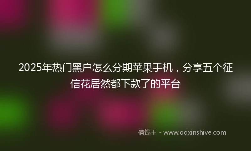 2025年热门黑户怎么分期苹果手机，分享五个征信花居然都下款了的平台
