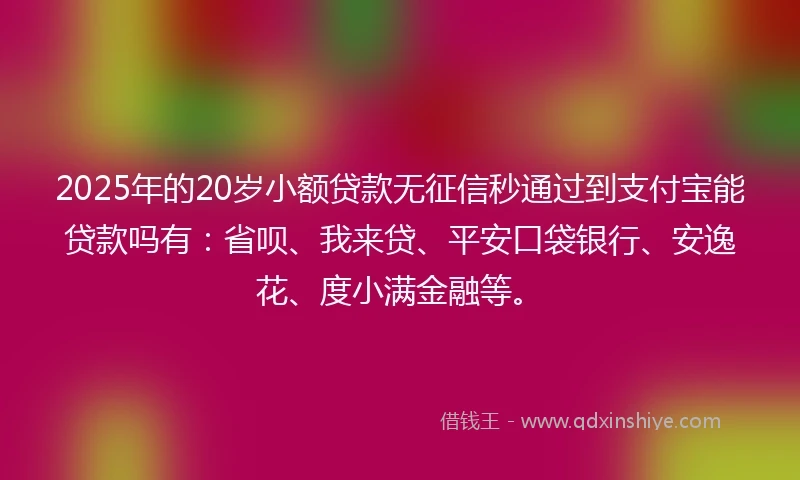 2025年的20岁小额贷款无征信秒通过到支付宝能贷款吗有：省呗、我来贷、平安口袋银行、安逸花、度小满金融等。