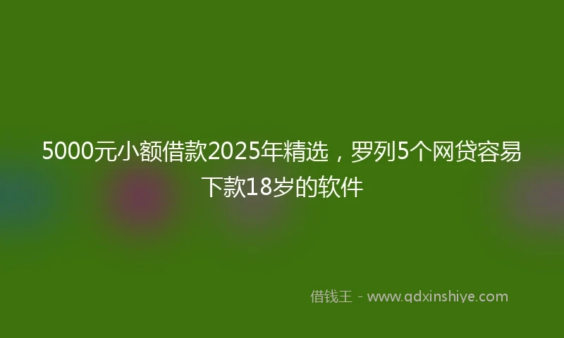 5000元小额借款2025年精选，罗列5个网贷容易下款18岁的软件
