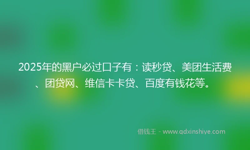 2025年的黑户必过口子有：读秒贷、美团生活费、团贷网、维信卡卡贷、百度有钱花等。