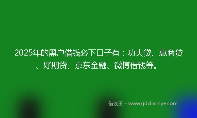 2025年的黑户借钱必下口子有：功夫贷、惠商贷、好期贷、京东金融、微博借钱等。