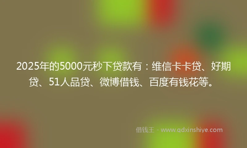 2025年的5000元秒下贷款有：维信卡卡贷、好期贷、51人品贷、微博借钱、百度有钱花等。