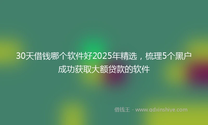30天借钱哪个软件好2025年精选，梳理5个黑户成功获取大额贷款的软件