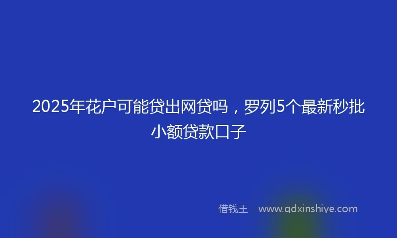 2025年花户可能贷出网贷吗，罗列5个最新秒批小额贷款口子