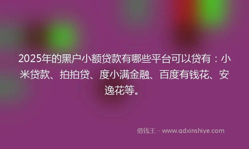 2025年的黑户小额贷款有哪些平台可以贷有：小米贷款、拍拍贷、度小满金融、百度有钱花、安逸花等。