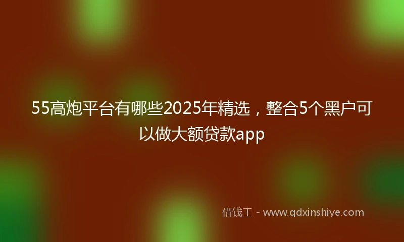55高炮平台有哪些2025年精选，整合5个黑户可以做大额贷款app