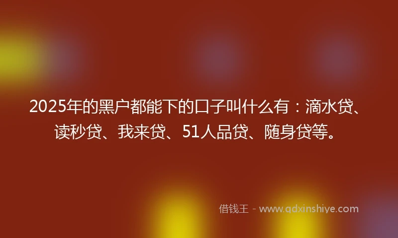 2025年的黑户都能下的口子叫什么有：滴水贷、读秒贷、我来贷、51人品贷、随身贷等。