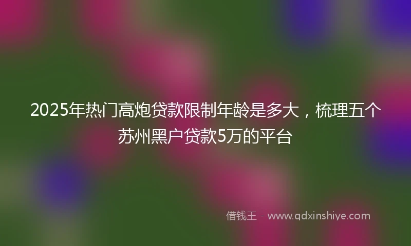 2025年热门高炮贷款限制年龄是多大，梳理五个苏州黑户贷款5万的平台