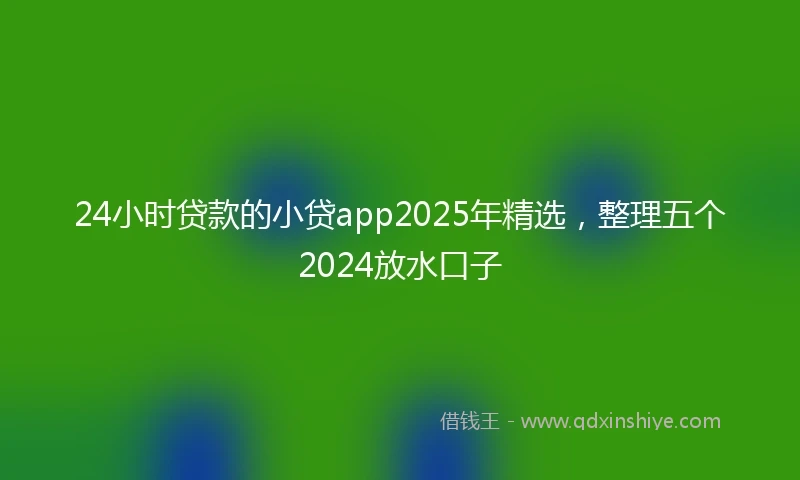 24小时贷款的小贷app2025年精选，整理五个2024放水口子
