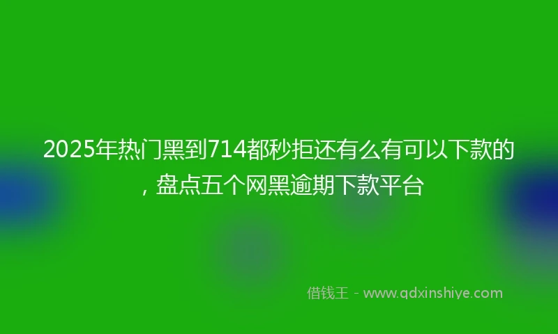 2025年热门黑到714都秒拒还有么有可以下款的，盘点五个网黑逾期下款平台