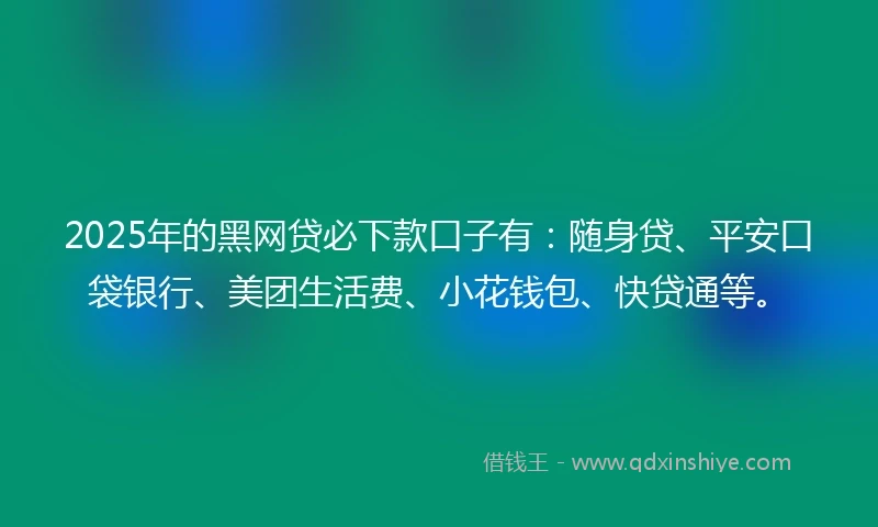 2025年的黑网贷必下款口子有：随身贷、平安口袋银行、美团生活费、小花钱包、快贷通等。
