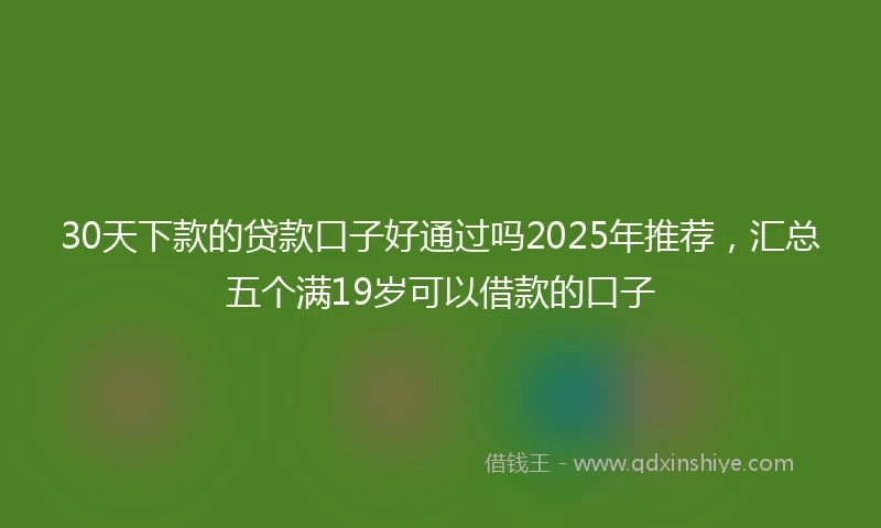 30天下款的贷款口子好通过吗2025年推荐，汇总五个满19岁可以借款的口子