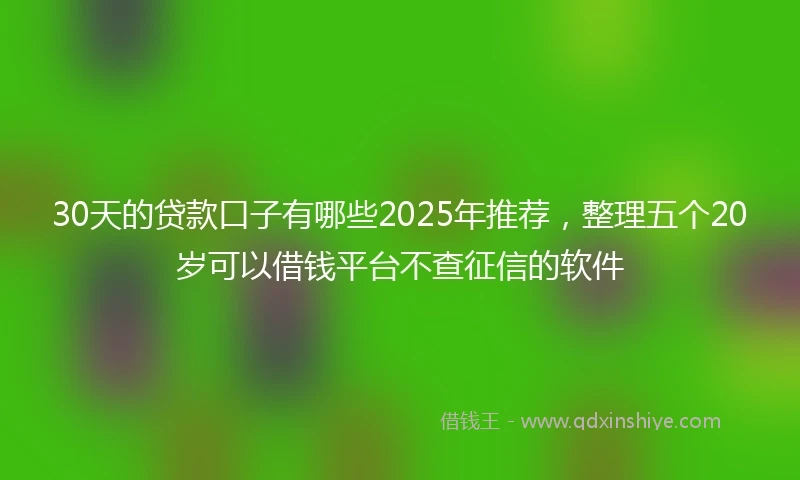 30天的贷款口子有哪些2025年推荐，整理五个20岁可以借钱平台不查征信的软件