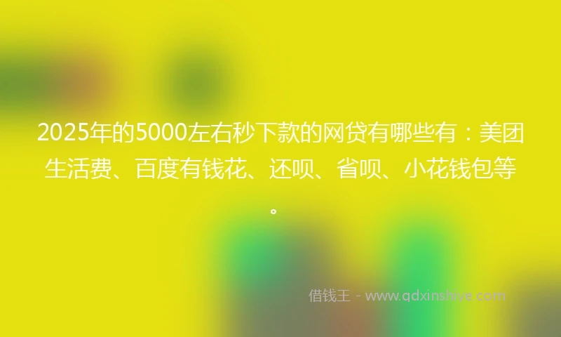 2025年的5000左右秒下款的网贷有哪些有：美团生活费、百度有钱花、还呗、省呗、小花钱包等。