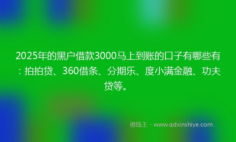 2025年的黑户借款3000马上到账的口子有哪些有：拍拍贷、360借条、分期乐、度小满金融、功夫贷等。