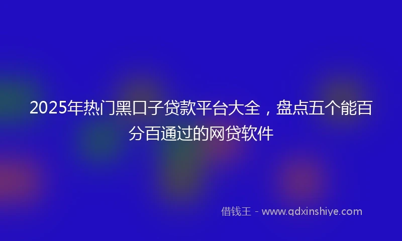 2025年热门黑口子贷款平台大全，盘点五个能百分百通过的网贷软件
