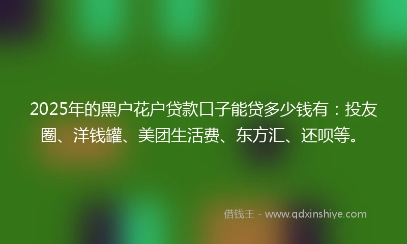 2025年的黑户花户贷款口子能贷多少钱有：投友圈、洋钱罐、美团生活费、东方汇、还呗等。