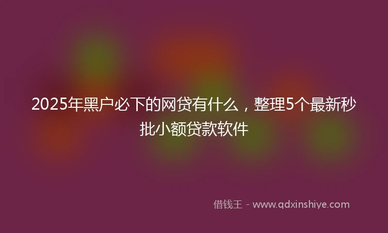 2025年黑户必下的网贷有什么，整理5个最新秒批小额贷款软件