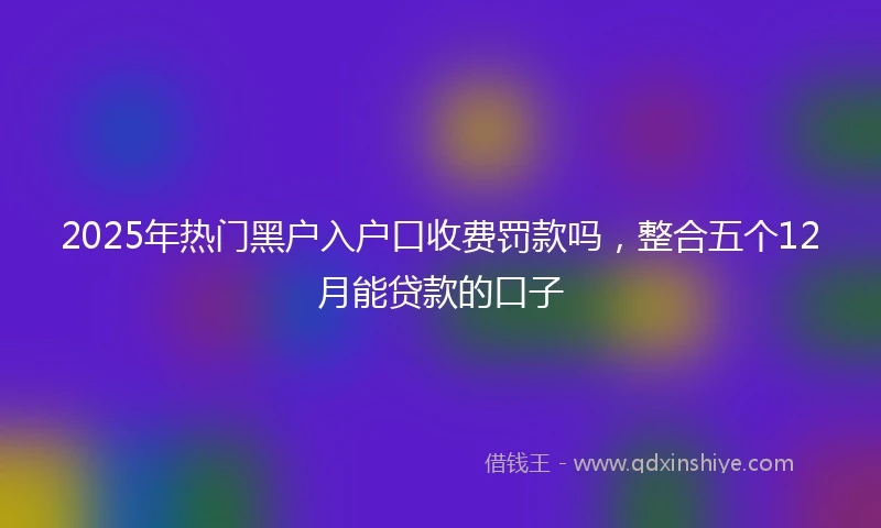 2025年热门黑户入户口收费罚款吗，整合五个12月能贷款的口子