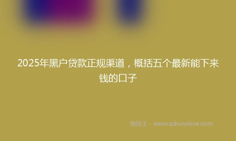 2025年黑户贷款正规渠道，概括五个最新能下来钱的口子