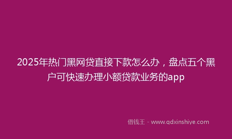 2025年热门黑网贷直接下款怎么办，盘点五个黑户可快速办理小额贷款业务的app