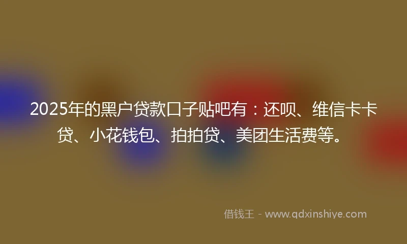 2025年的黑户贷款口子贴吧有：还呗、维信卡卡贷、小花钱包、拍拍贷、美团生活费等。