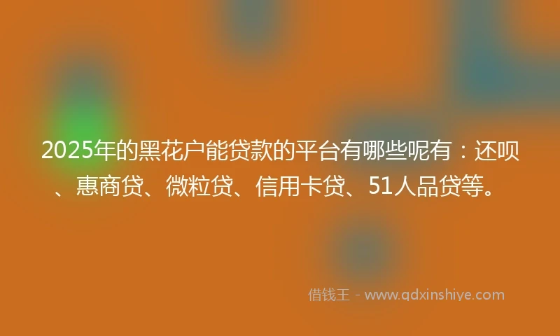 2025年的黑花户能贷款的平台有哪些呢有：还呗、惠商贷、微粒贷、信用卡贷、51人品贷等。