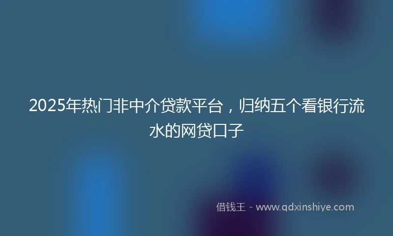 2025年热门非中介贷款平台，归纳五个看银行流水的网贷口子