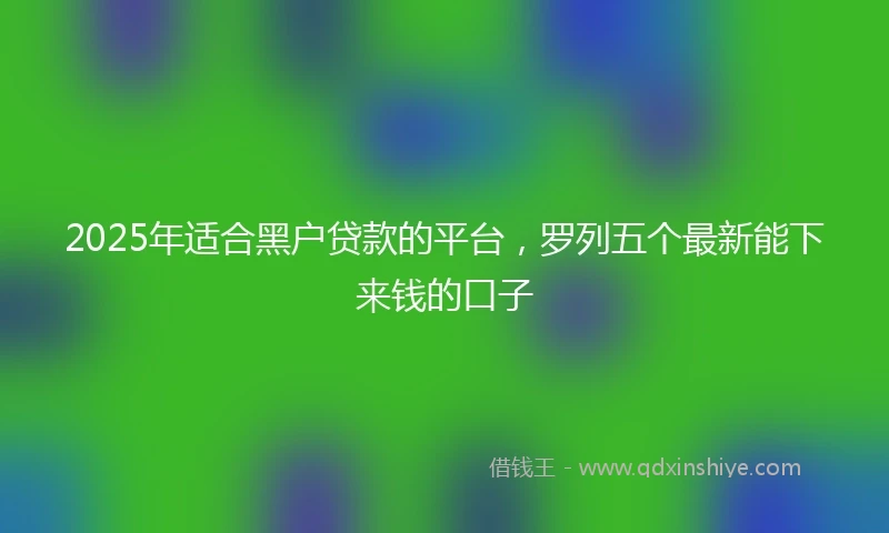 2025年适合黑户贷款的平台，罗列五个最新能下来钱的口子