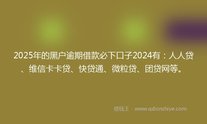 2025年的黑户逾期借款必下口子2024有：人人贷、维信卡卡贷、快贷通、微粒贷、团贷网等。