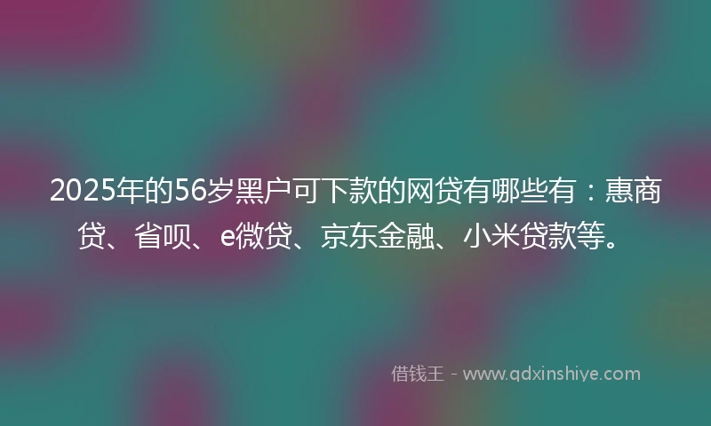 2025年的56岁黑户可下款的网贷有哪些有：惠商贷、省呗、e微贷、京东金融、小米贷款等。