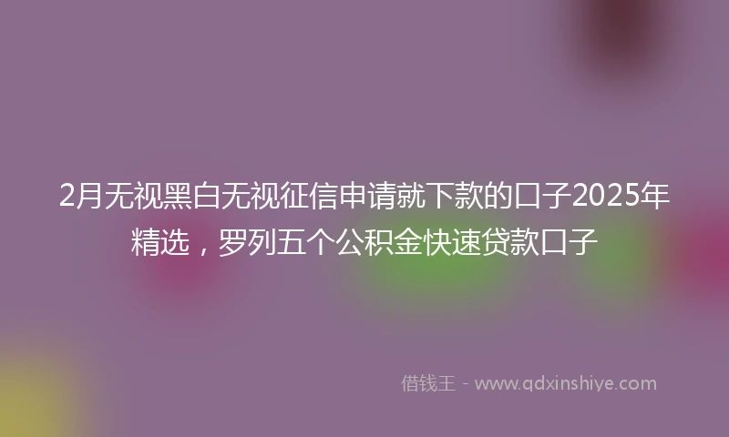 2月无视黑白无视征信申请就下款的口子2025年精选，罗列五个公积金快速贷款口子