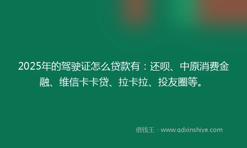 2025年的驾驶证怎么贷款有：还呗、中原消费金融、维信卡卡贷、拉卡拉、投友圈等。