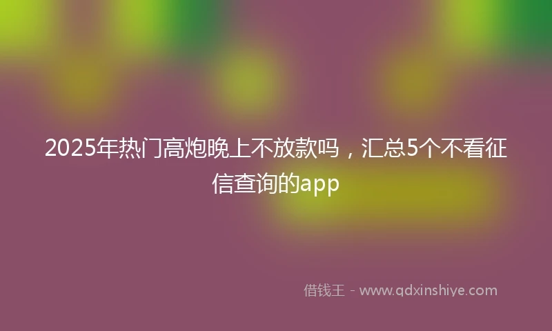 2025年热门高炮晚上不放款吗，汇总5个不看征信查询的app