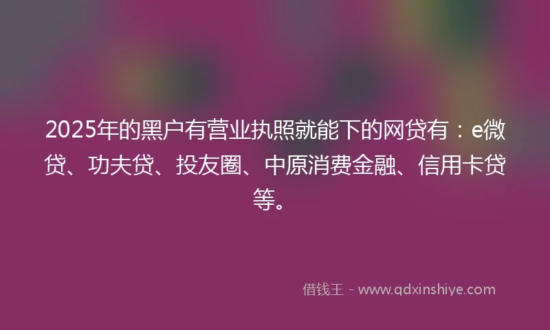 2025年的黑户有营业执照就能下的网贷有：e微贷、功夫贷、投友圈、中原消费金融、信用卡贷等。