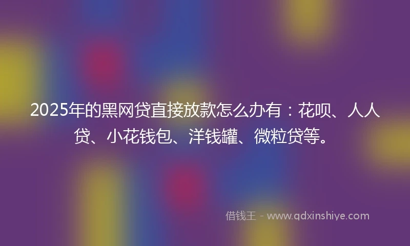 2025年的黑网贷直接放款怎么办有：花呗、人人贷、小花钱包、洋钱罐、微粒贷等。