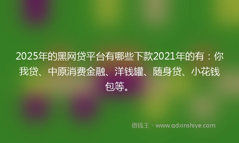 2025年的黑网贷平台有哪些下款2021年的有：你我贷、中原消费金融、洋钱罐、随身贷、小花钱包等。