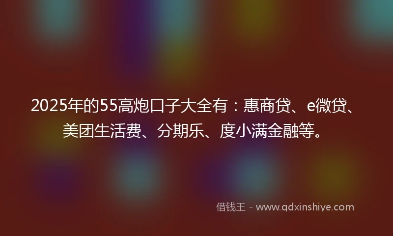 2025年的55高炮口子大全有：惠商贷、e微贷、美团生活费、分期乐、度小满金融等。
