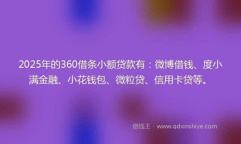 2025年的360借条小额贷款有:微博借钱、度小满金融、小花钱包、微粒贷、信用卡贷等。