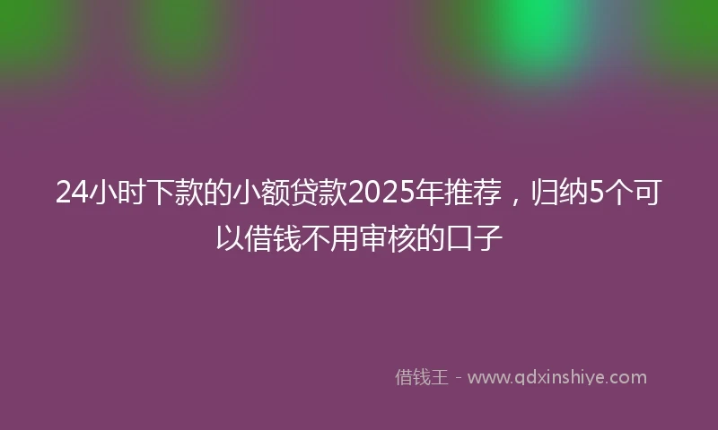 24小时下款的小额贷款2025年推荐，归纳5个可以借钱不用审核的口子