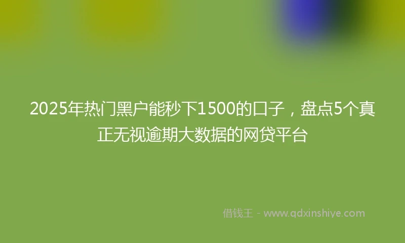 2025年热门黑户能秒下1500的口子，盘点5个真正无视逾期大数据的网贷平台