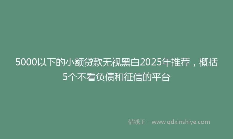 5000以下的小额贷款无视黑白2025年推荐,概括5个不看负债和征信的平台