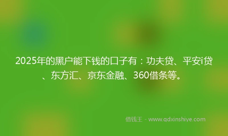 2025年的黑户能下钱的口子有：功夫贷、平安i贷、东方汇、京东金融、360借条等。