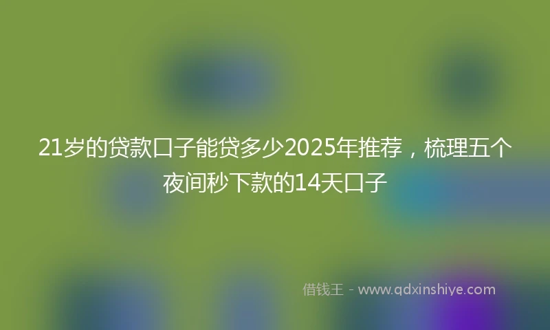 21岁的贷款口子能贷多少2025年推荐，梳理五个夜间秒下款的14天口子
