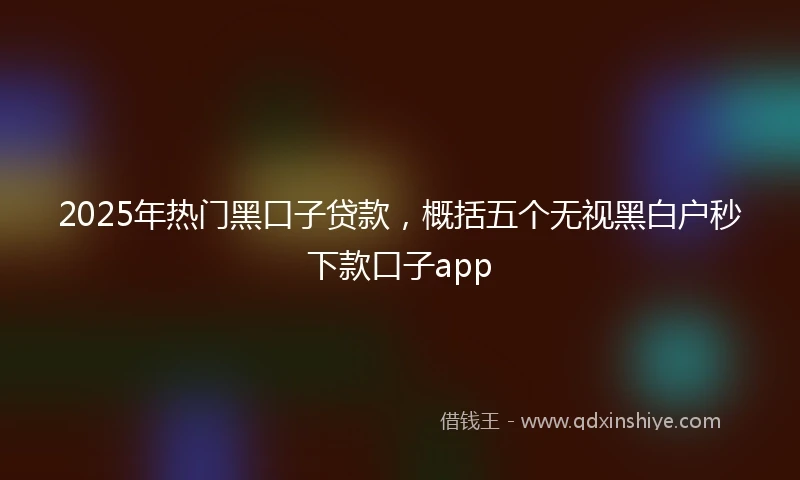 2025年热门黑口子贷款，概括五个无视黑白户秒下款口子app