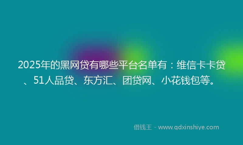 2025年的黑网贷有哪些平台名单有：维信卡卡贷、51人品贷、东方汇、团贷网、小花钱包等。